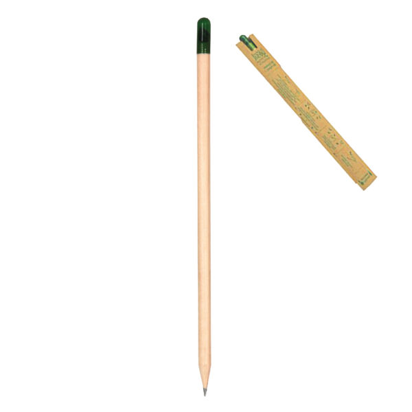 Çevre Dostu Tohumlu Kalem 0240940